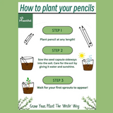 Plantiful Pencils