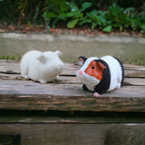 Ceramic blank - Guinea pig