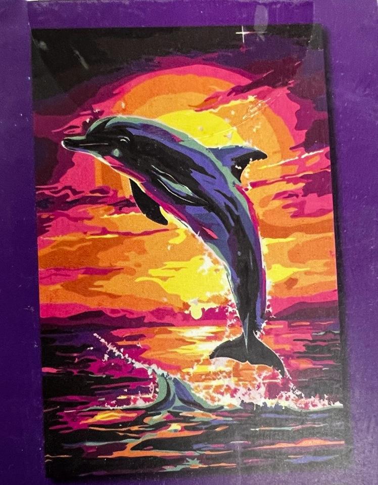 Diamond Painting - Neon Dolphins 40 x 60cms
