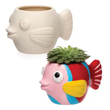 Ceramic vases & flower pots