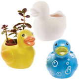 Ceramic vases & flower pots