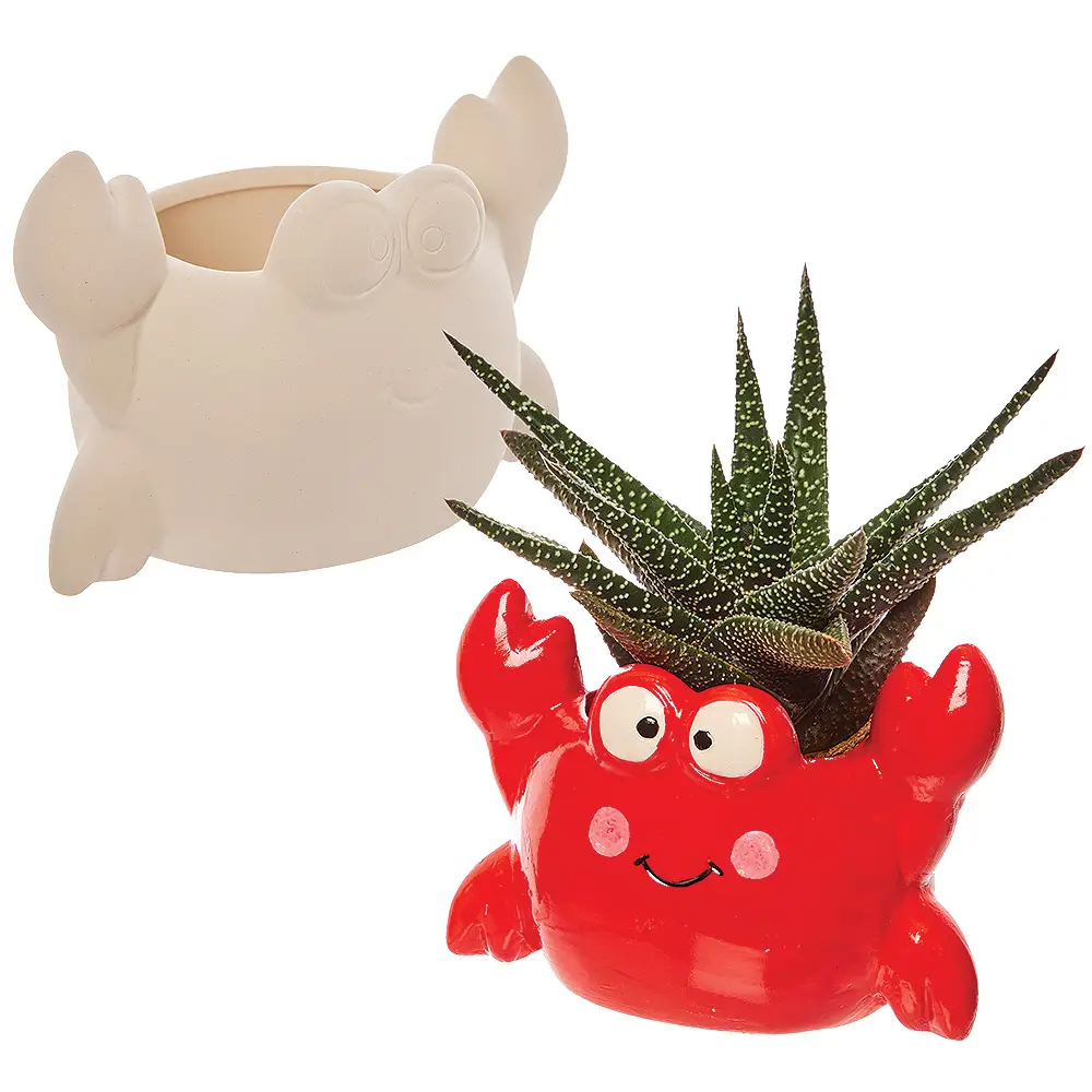 Ceramic vases & flower pots
