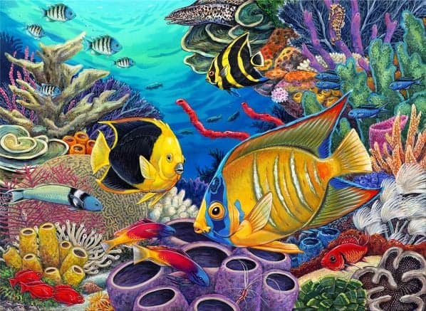 Paint By Numbers - Caribbean Coral Reef