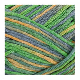 CARICIA Nature Multicolour recycled cotton yarn