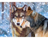 DIAMOND ART KIT - Wolf couple