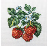 Beginner Counted Cross Stitch kit  - flowers and fruit