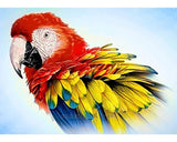 Diamond Art - Feathered