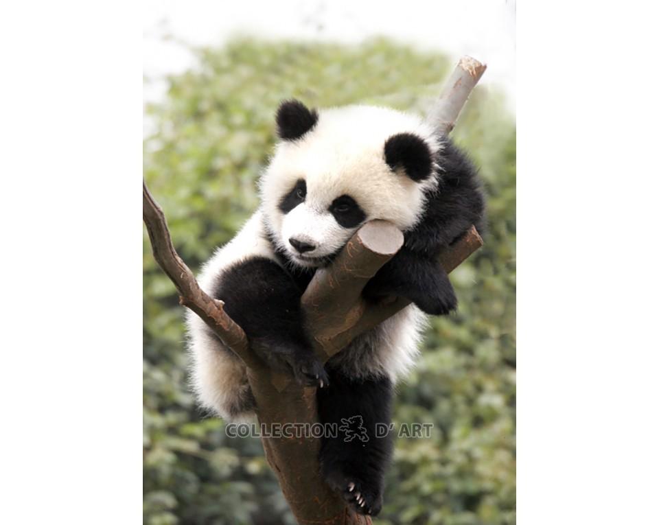 Diamond Art - Tired Panda