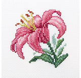 Beginner Counted Cross Stitch kit  - flowers and fruit
