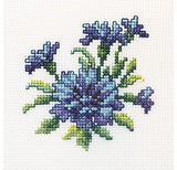 Beginner Counted Cross Stitch kit  - flowers and fruit