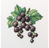 Beginner Counted Cross Stitch kit  - flowers and fruit