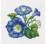 Beginner Counted Cross Stitch kit  - flowers and fruit
